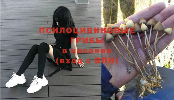 каннабис Вяземский