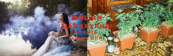 каннабис Вяземский