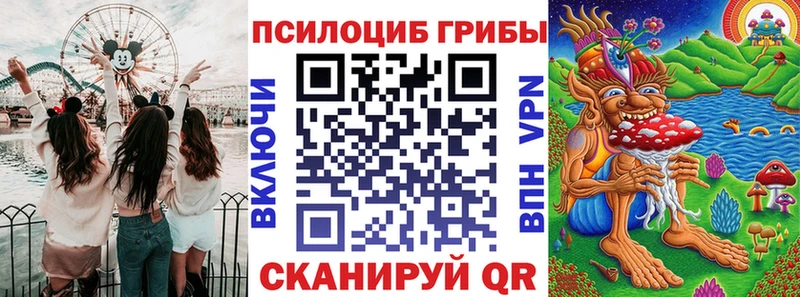 ссылка на мегу tor  Калининград  Псилоцибиновые грибы Psilocybe  что такое  